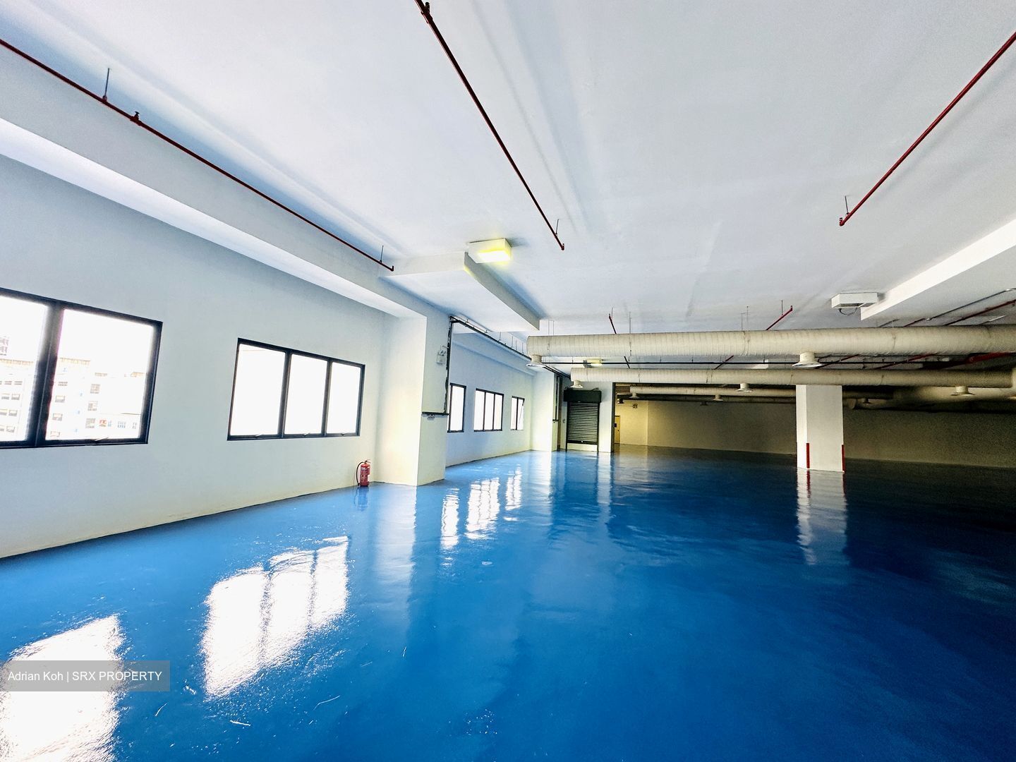 Pandan Crescent (D5), Factory #449720541